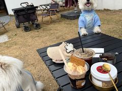 -J Create城市露营咖啡·简餐·宠物(上海动物园店)