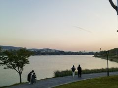 -羊山湖公园