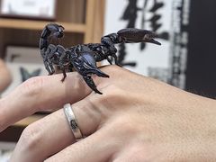 -青岛东方影都融创水世界
