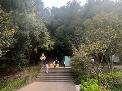 -上海佘山国家森林公园天马山园