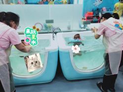 -熊小米专业儿童游泳馆