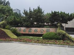 -济南森林公园
