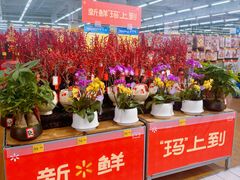 -天河沃尔玛