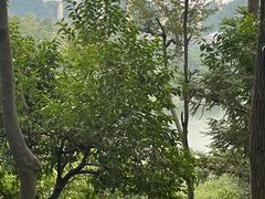 -黔灵山公园