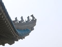 -武汉大学-樱园