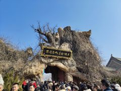 -大槐树寻根祭祖园