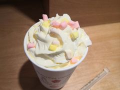 -伏小桃(明瓦廊店)