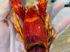 -聚味瞿记·龙虾堂(望城店)