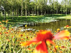 -东郊湿地公园