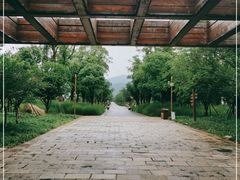 -长田漾湿地公园