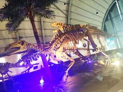 -辽宁古生物博物馆
