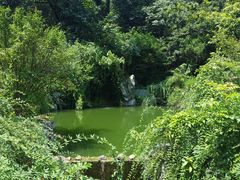 -杭州西湖风景名胜区-三生石