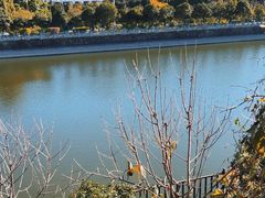 -少林寺欢喜地素斋馆