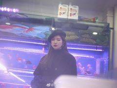 -苏州艺都古玩花鸟市场