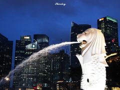 -鱼尾狮公园