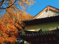 -郑和公园