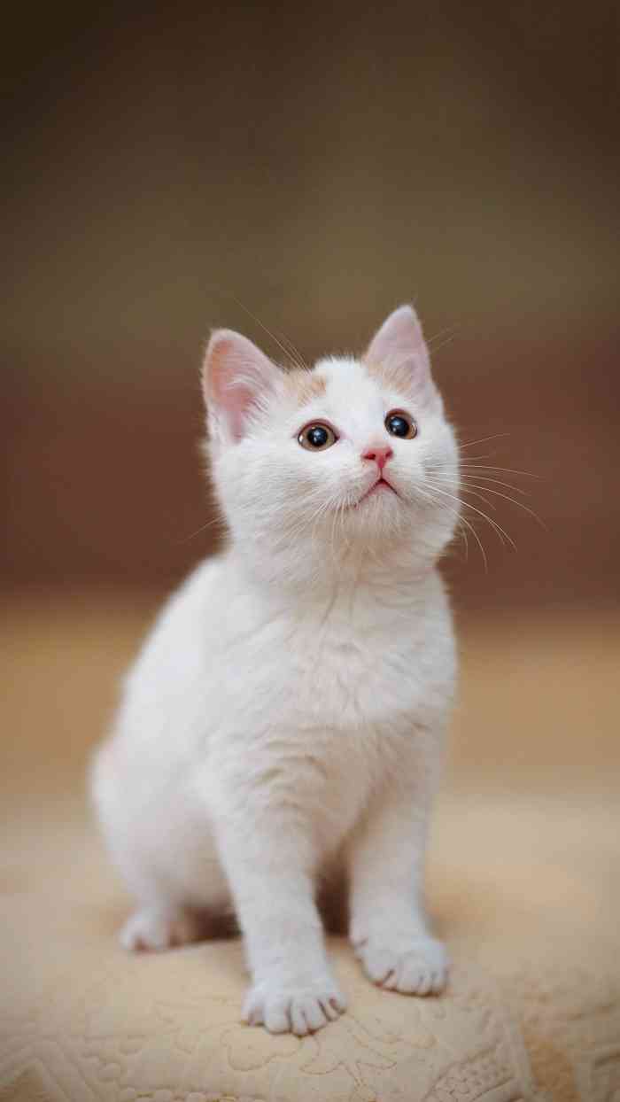 谦亨短发设计(中关村东路店)