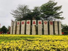 -大屏嶂森林公园