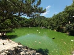 -大连森林动物园