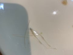 -龙梅肥肠鱼(明瓦廊店)