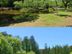 -上海共青森林公园