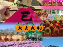 -盈香心动乐园