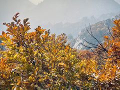 -云蒙山风景区