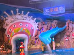 -烟台海昌鲸鲨海洋公园