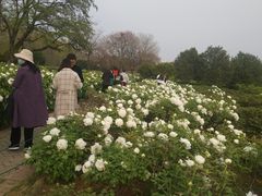 -洛阳市隋唐城遗址植物园