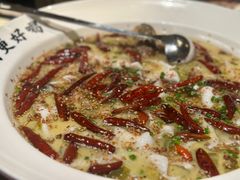 -首秀·四川料理(星耀101店)