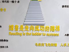 -青岛市图书馆