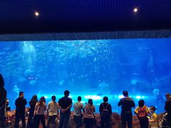 -华夏文旅海洋公园