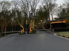 -向阳羊汤(千峰店)