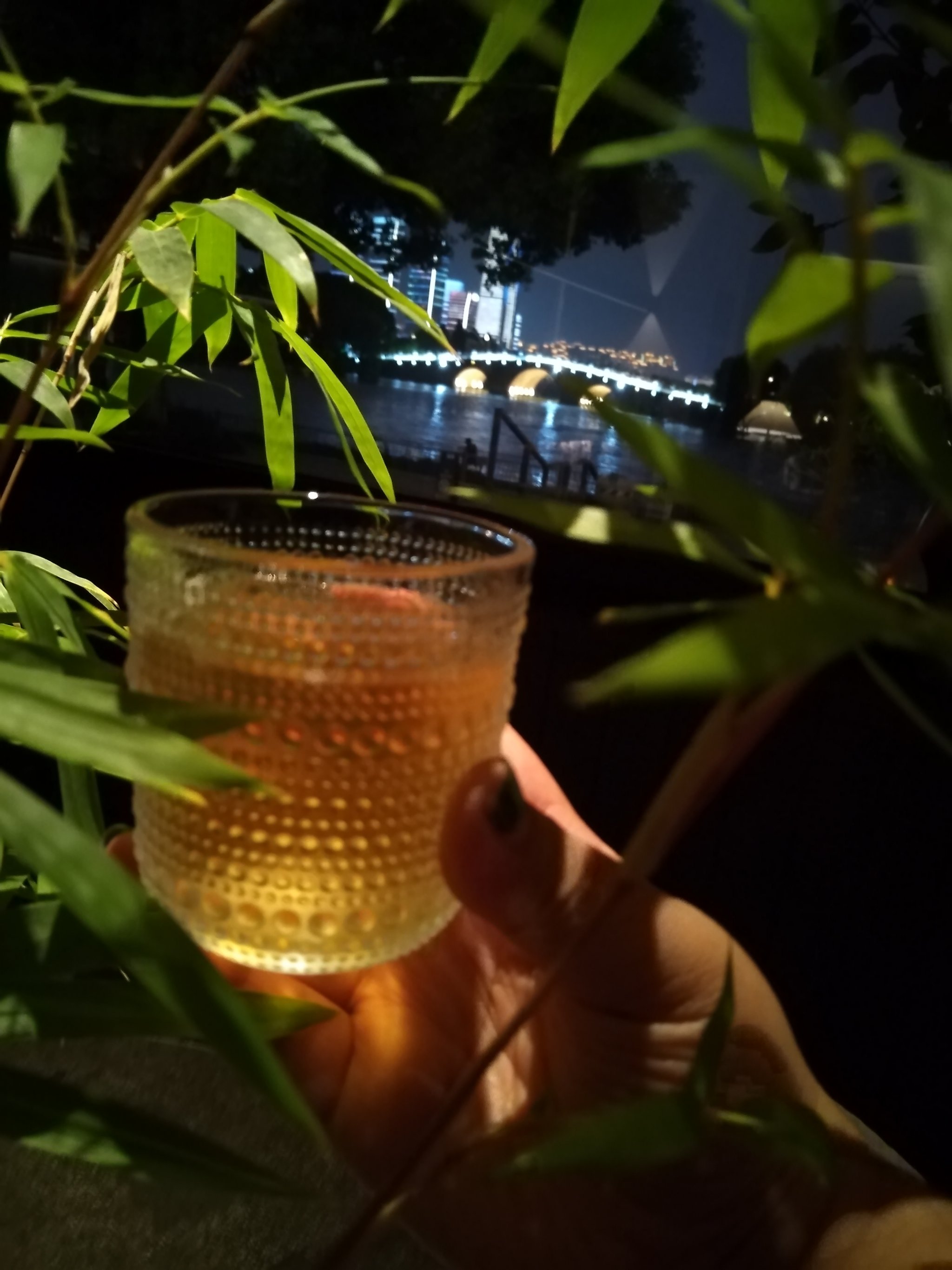 湖上夜饮图片