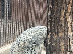 -青藏高原野生动物园