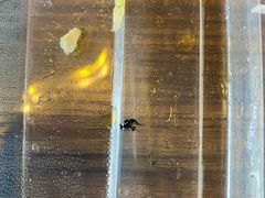 -雍沪里·沪湘融合菜( 康桥店)