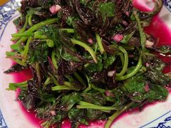 -范记豆花庄(东门好吃街店)