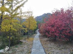 -北京鹫峰国家森林公园