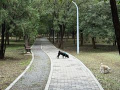 -绿堤公园