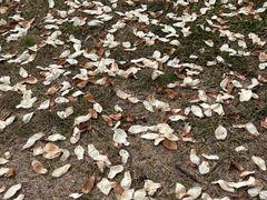 -滆湖低碳生态公园