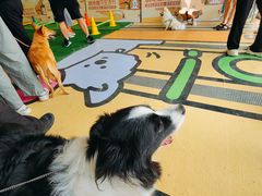 -开元商城(西旺店)