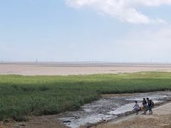 -南汇嘴观海公园