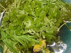 -十二舍·湯物素煮(江泰潤政店)