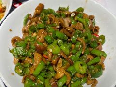 青椒肥肠-壹盏灯(惠农店)