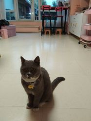 -Pink You美甲美睫纹绣定制中心