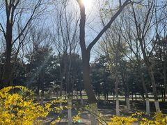 -大兴滨河森林公园