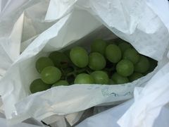 -美家乐农庄·露营·团建(大治路店)