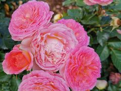 -人民公园(罗湖区)