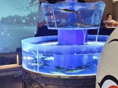 -佬麻雀·剁椒鱼头(京基KK One店)