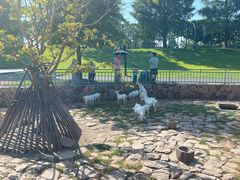 -上海佘山国家森林公园天马山园